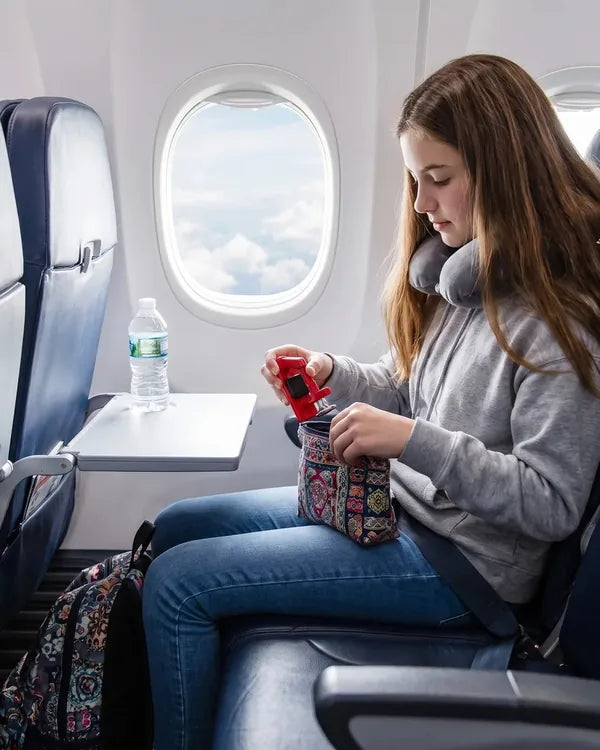 Dans l'avion