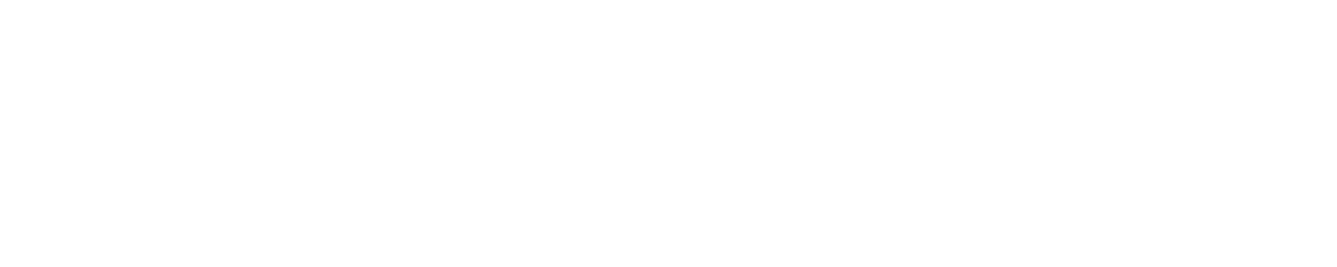 BLINDIER